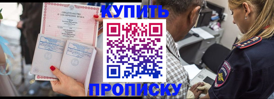 прописка законно в Ельне